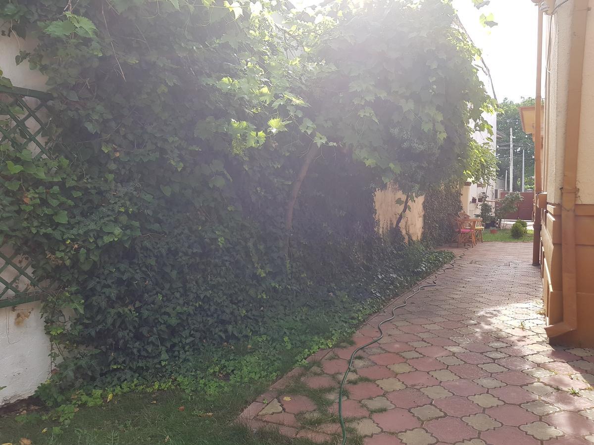 Casa Boiereasca Hostel Craiova Exterior photo